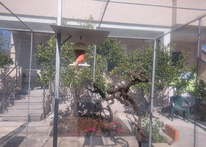 Canaria * Vinišće